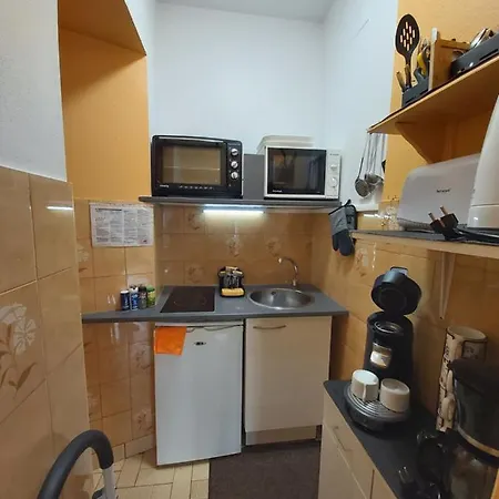 Apartment 2 A 4 Personnes Avec Garage Prive Le Mont-Dore